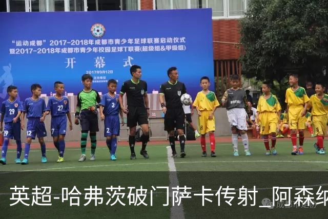 英超-哈弗茨破门萨卡传射 阿森纳2-0狼队